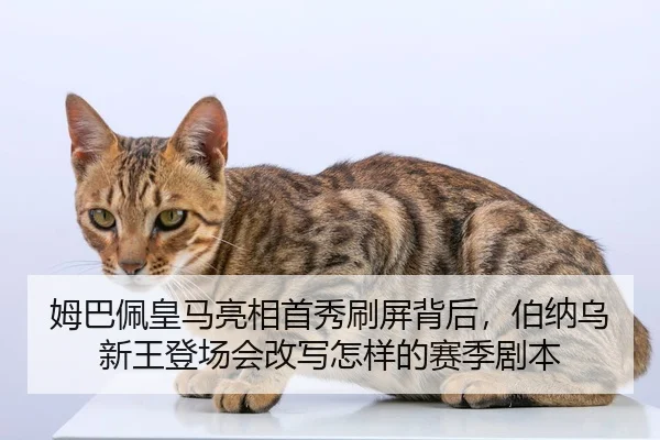 姆巴佩皇马亮相首秀刷屏背后，伯纳乌新王登场会改写怎样的赛季剧本